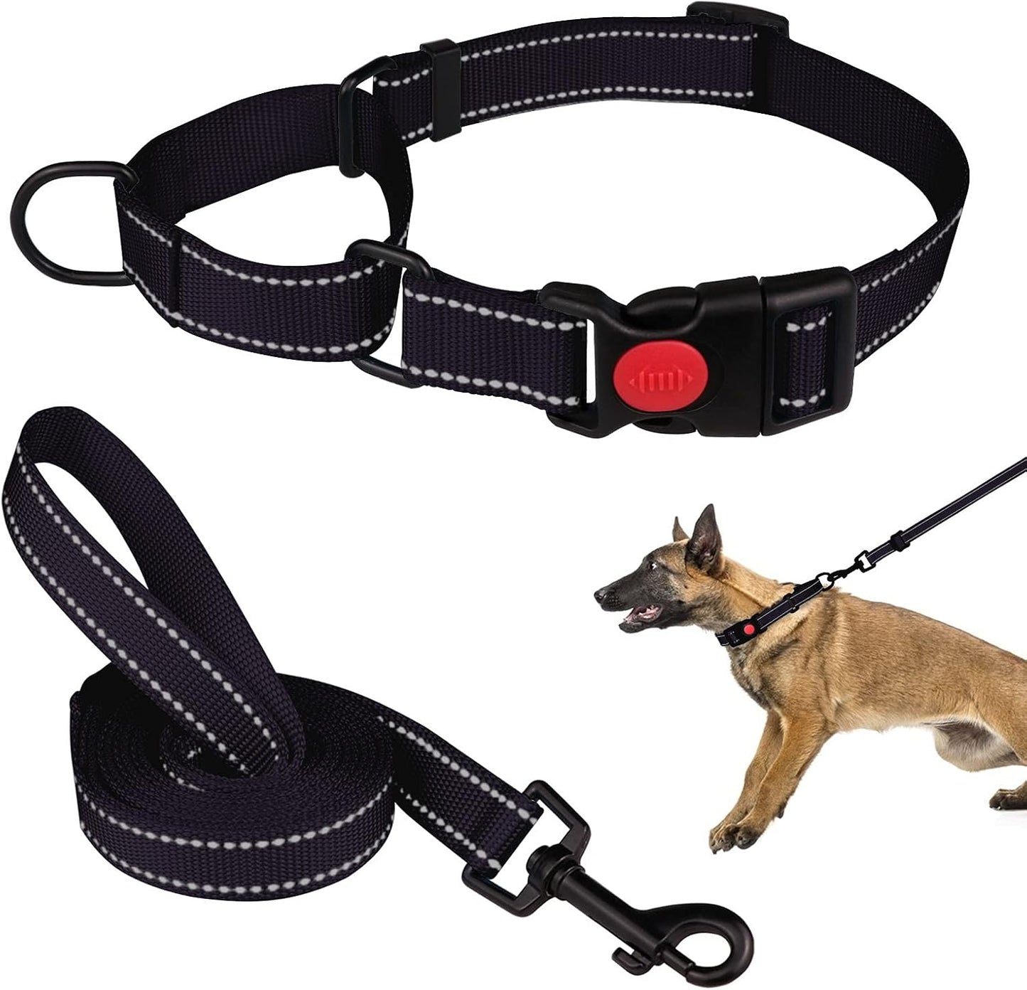 Authentic USA imported Mtliepte pet walking set packaging view