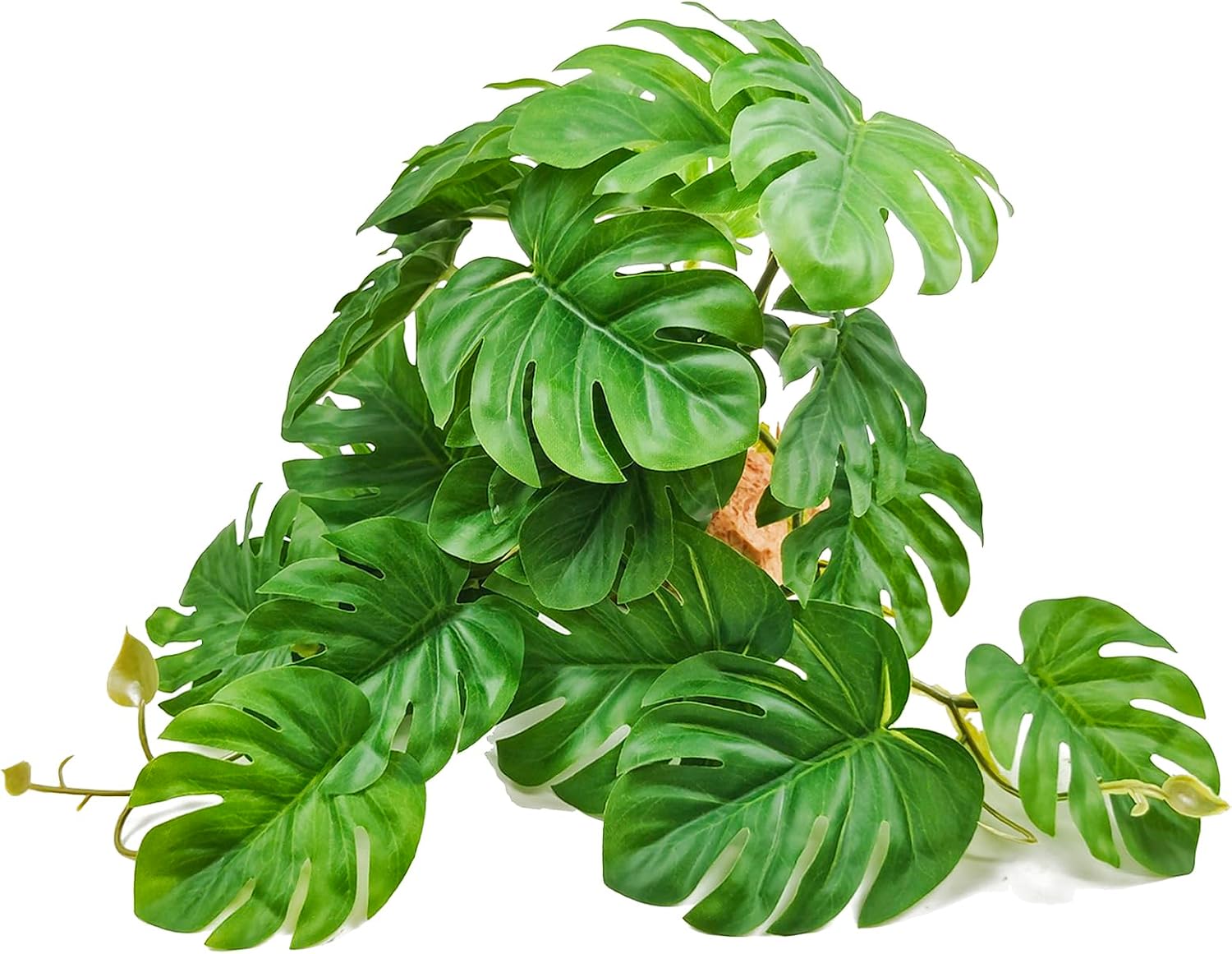 Detailed texture of Woyrise artificial tillandsia leaves
