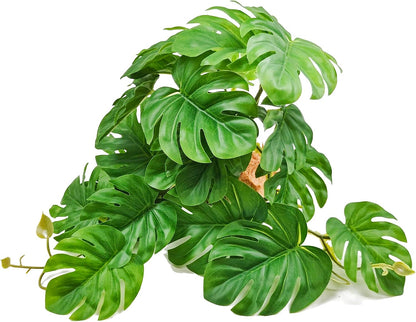 Detailed texture of Woyrise artificial tillandsia leaves