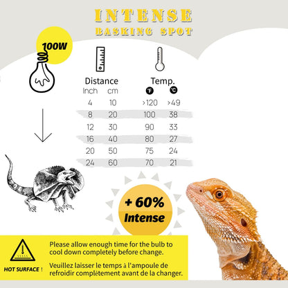 Reptiking 100 Watts UVA heat lamp bulb for turtles close up