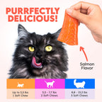 OkkÃ¶bi cat immune support supplement bottle showing dosage instructions for indoor and outdoor pets.