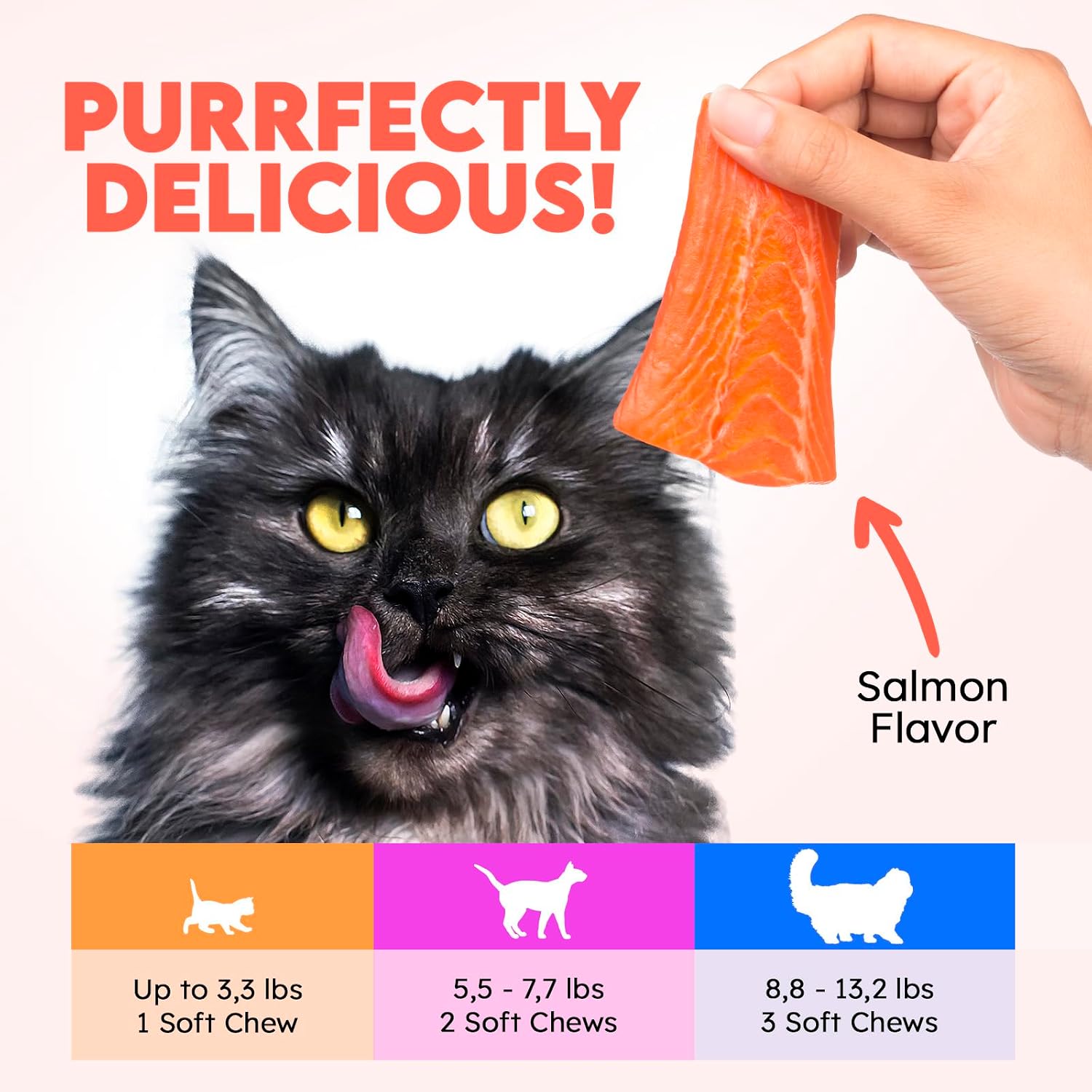 OkkÃ¶bi cat immune support supplement bottle showing dosage instructions for indoor and outdoor pets.