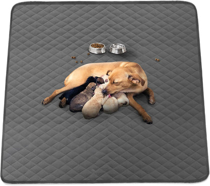 Non-slip leak-proof thermoplastic polyurethane backing of CoolShields training pad