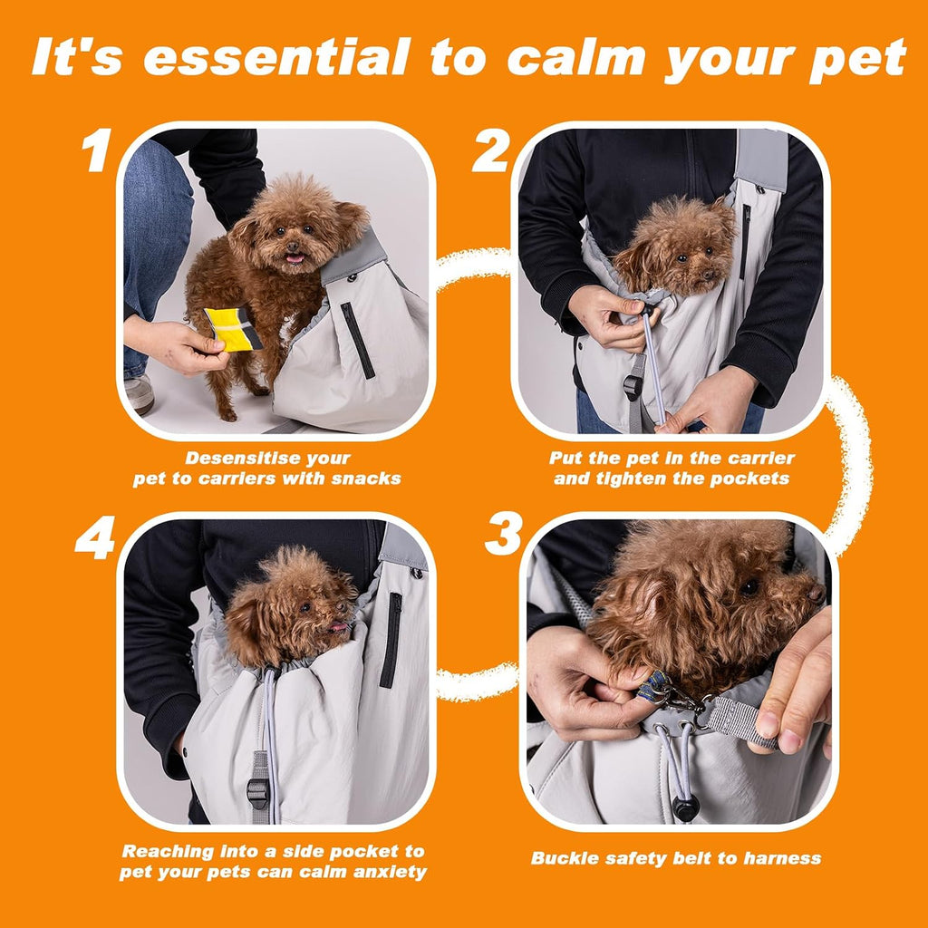 Small dog resting inside Senior Budday grey carrier