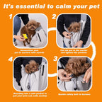 Small dog resting inside Senior Budday grey carrier