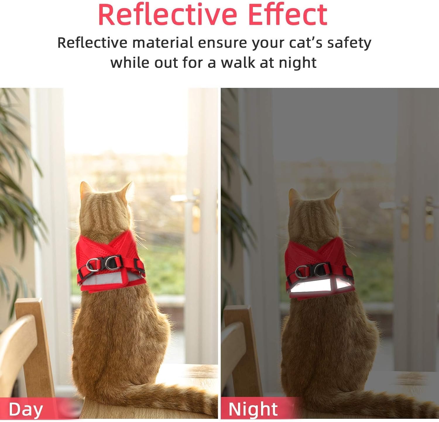 Dual metal D-ring leash attachment points on pet harness.