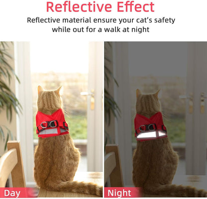 Dual metal D-ring leash attachment points on pet harness.