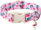 Female dog wearing pink flower pattern summer collar