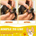 Nuenen 150 piece puppy toothbrush kit for cats and dogs