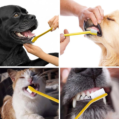 Pet Republique premium dental kit with ultra-soft bristles for sensitive dog and cat gums