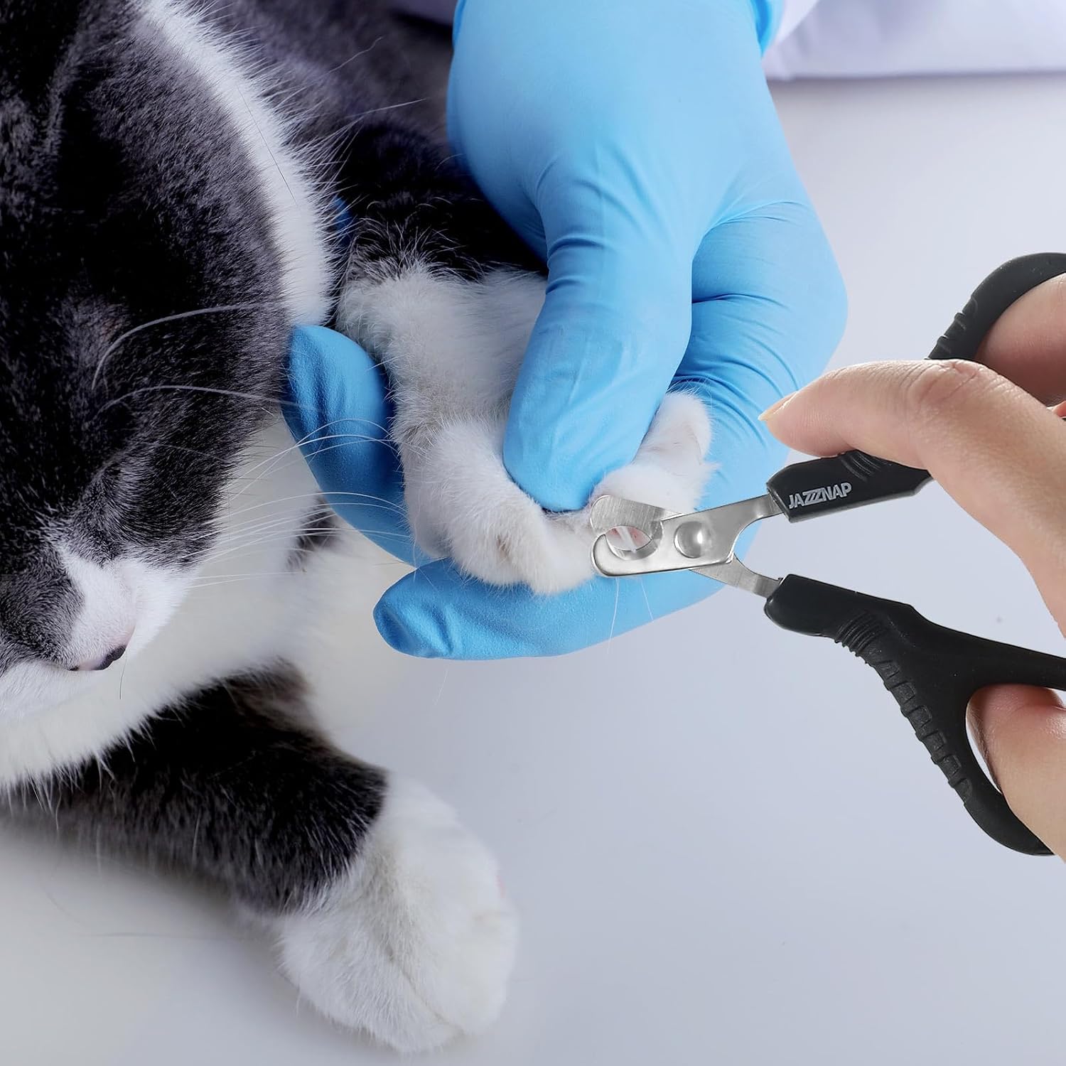 Pack of two JAZZZNAP pet clippers featuring both curved and flat tips side by side