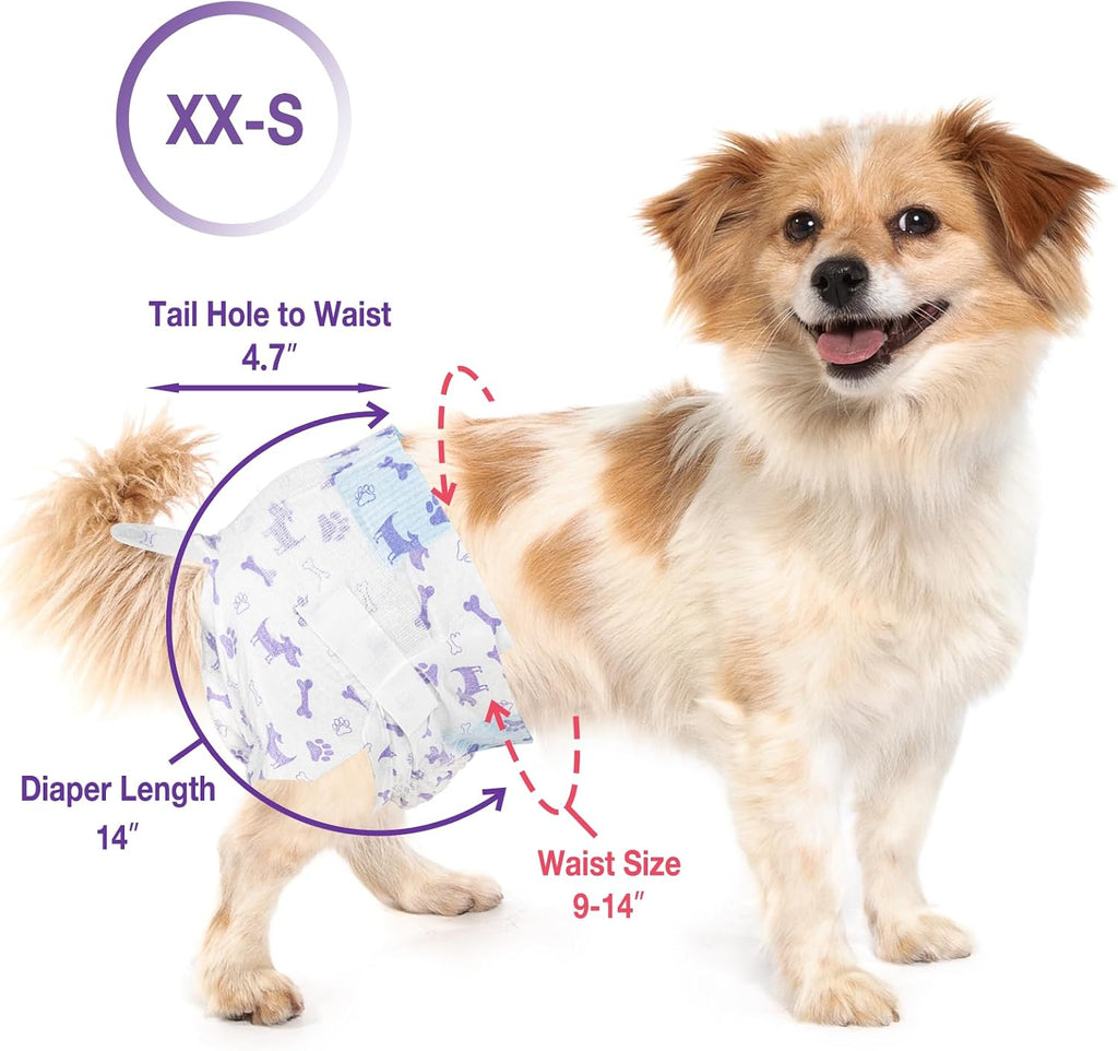 Back view of the diaper highlighting the soft foam tail hole design for small pets