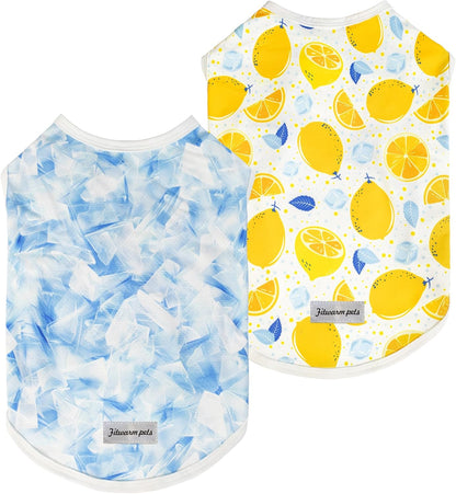 Fitwarm 2 Pack Marine UPF 50+ UV Sun Protection Dog Shirt, Lightweight Cooling Vest, Quick Dry Summer Clothes for Small Dogs Boy Girl, Pet Outfit, Sky Blue, Mint Green, Medium - Image 9