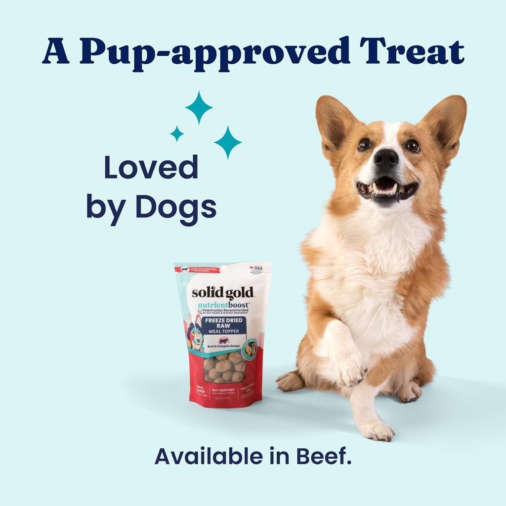 Happy dog eating food topped with Solid Gold beef and pumpkin