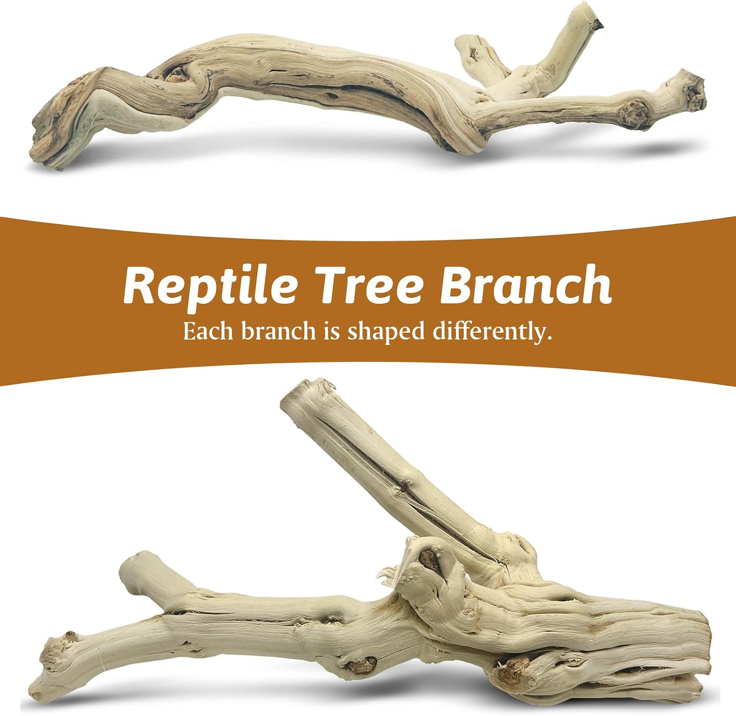 Set of two Apatal natural wooden branches for lizard terrarium