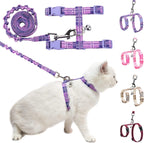 BEAUTYZOO imported premium quality cat walking set packaging contents