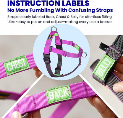 Apdexy dog harness adjustable buckle and strap close up