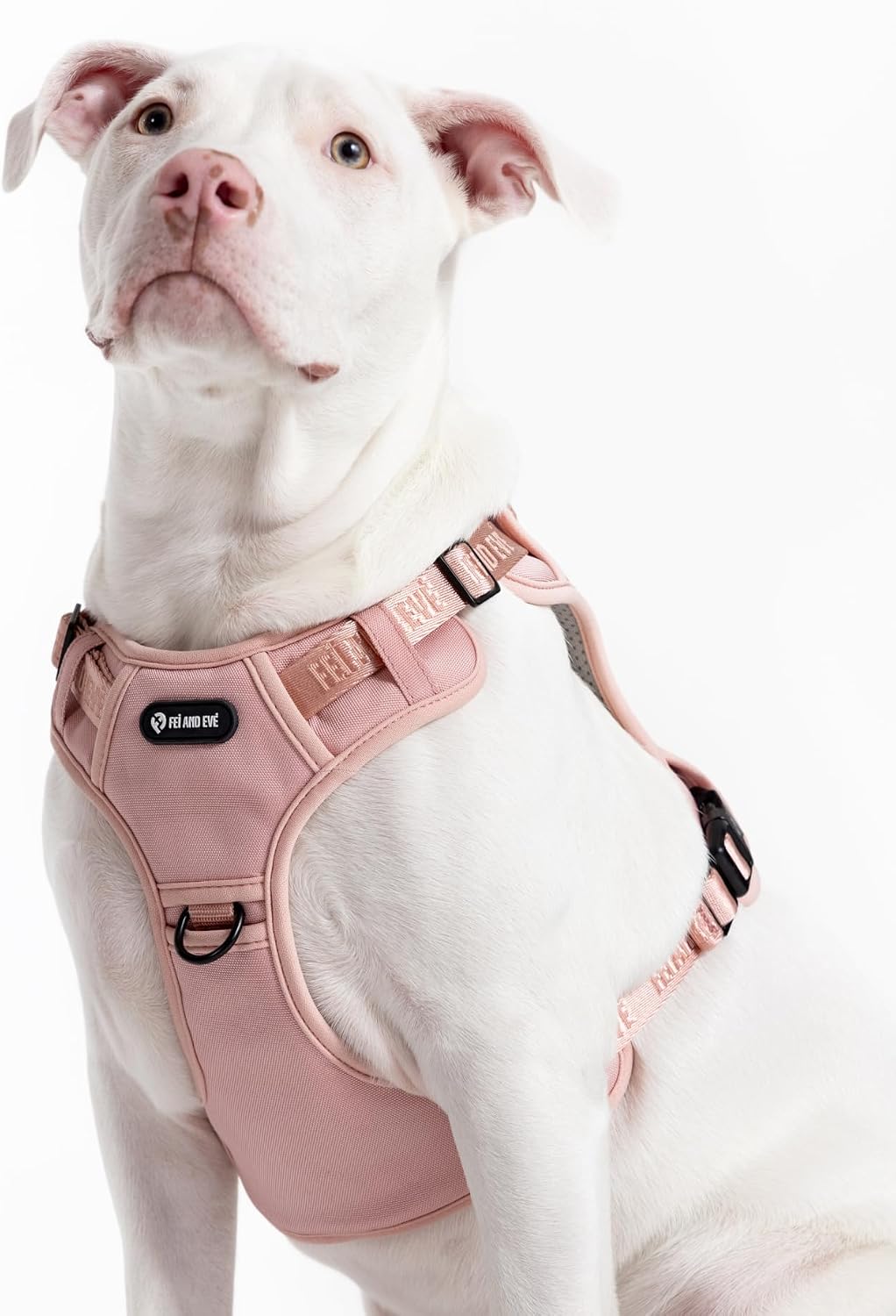 Adjustable straps on Fei and Eve classic dog vest