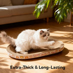 Cat using Spindro oval scratcher as a lounge bed