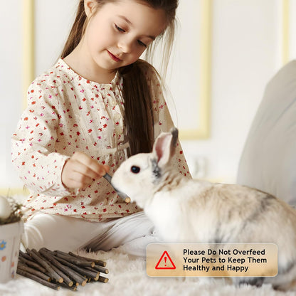 Sadaunbe small pet wooden chewing sticks for cage boredom reduction
