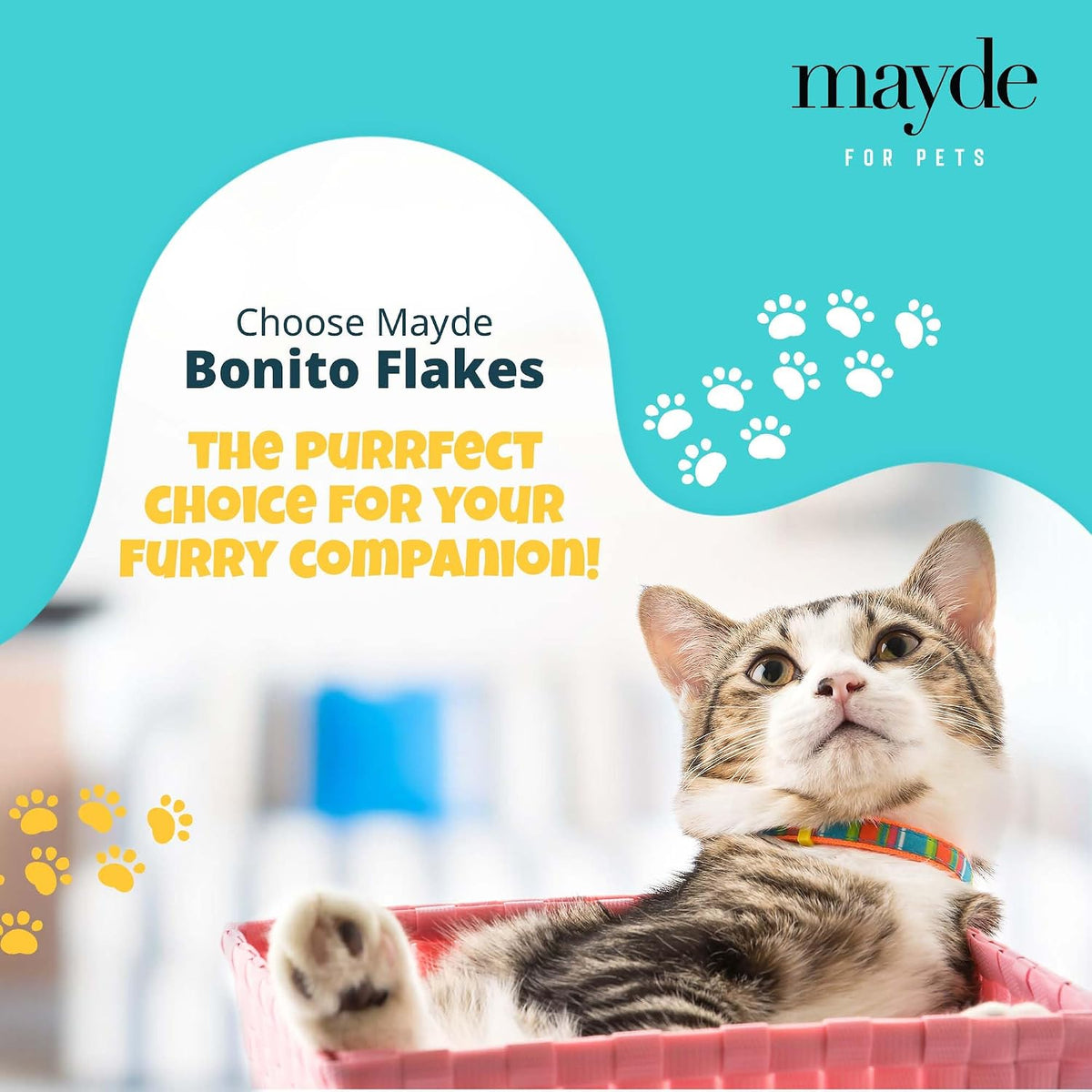 Mayde Bonito Flakes used as a healthy meal topper for cat food