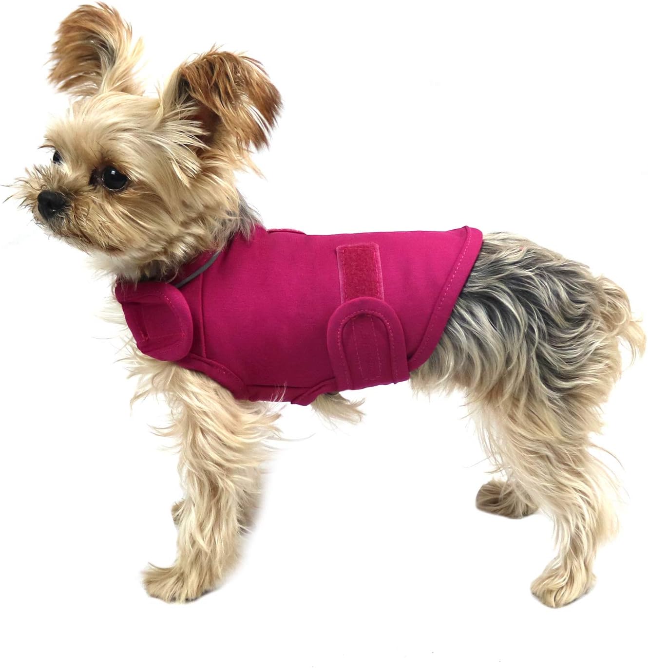 Comfort Dog Anxiety Relief Coat, Dog Anxiety Calming Vest Wrap for Thunderstorm,Travel,4th of July Fireworks,Vet Visits,Separation Anxiety Relief for Dogs (S, Rose) - Image 12
