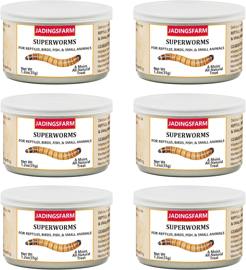 6 Pack Canned Crickets for Reptiles, Fish, Birds and Small Animals, Crickets, Healthy High Protein Treat, Reptile Bird Fish Food 7.2 Ounces Total - Image 11