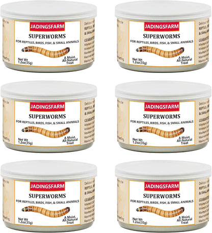 6 Pack Canned Crickets for Reptiles, Fish, Birds and Small Animals, Crickets, Healthy High Protein Treat, Reptile Bird Fish Food 7.2 Ounces Total - Image 11