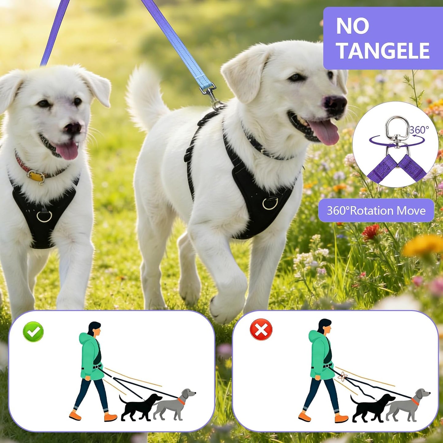 Full packaging view of the imported Roses&Poetry hands free double dog leash in violet