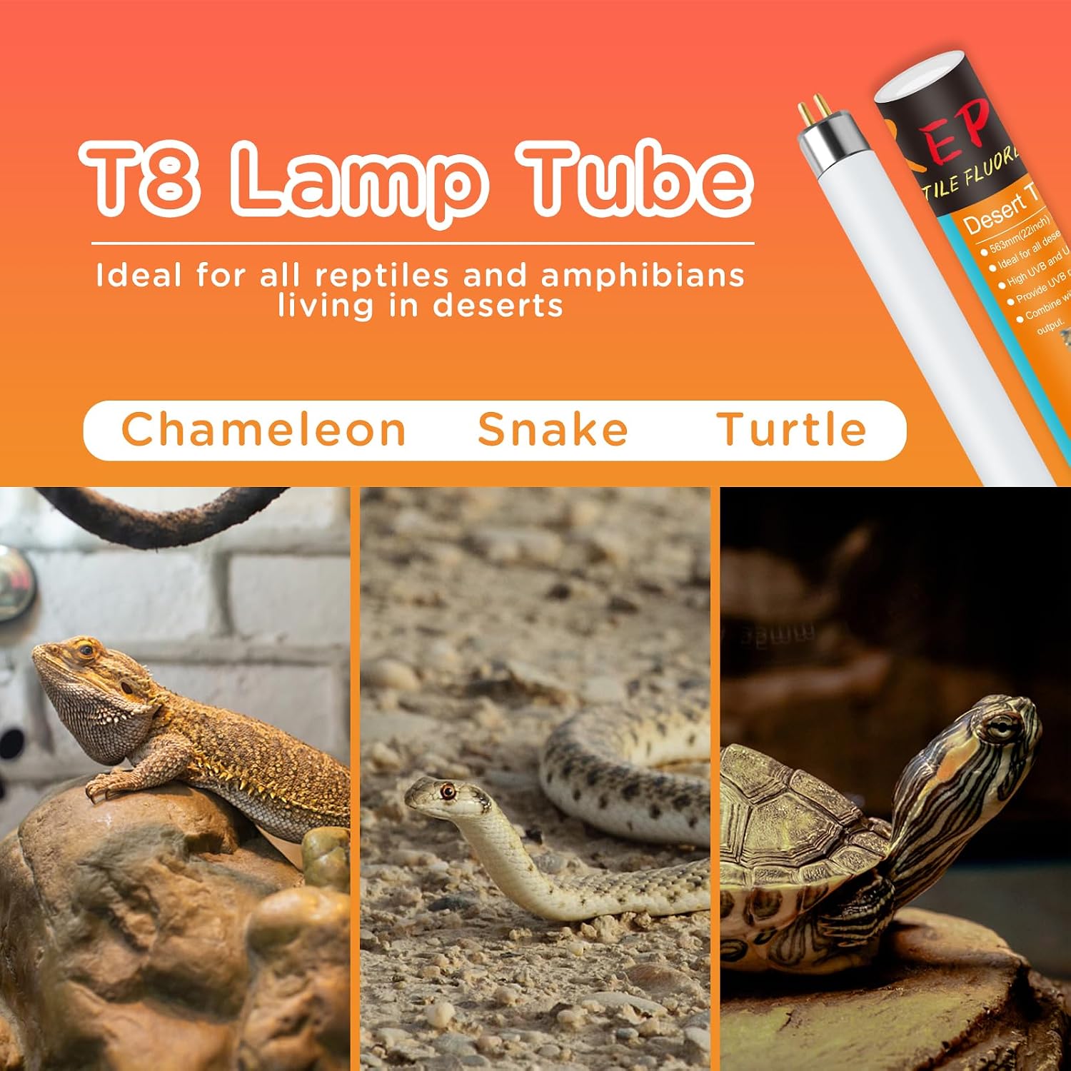 REPTI HOME T8 reptile light fixture compatibility layout demonstrating how to install the fluorescent bulb