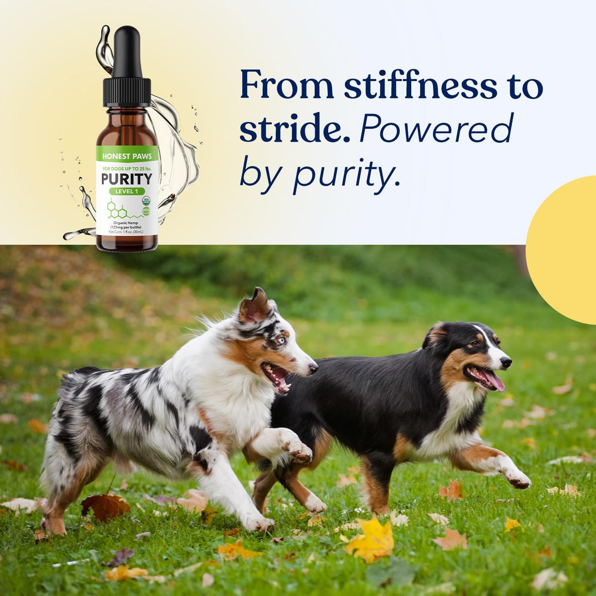 Authentic honest paws calming purity drops pet supplement from Rudra Retails India