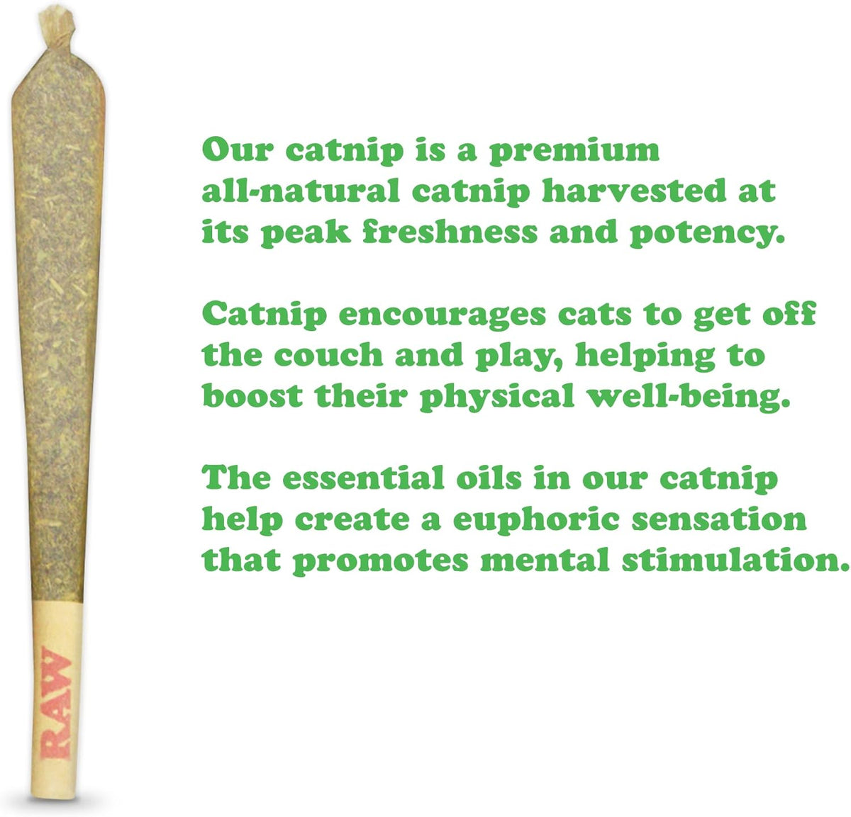 Close up view of the organic hand harvested ground catnip texture from North America.