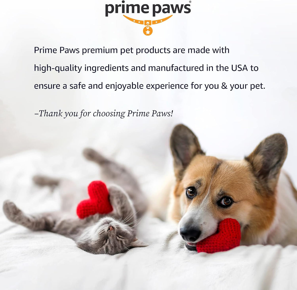 Safe and effective pet ear cleansing solution for home use