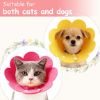 Small dog wearing the PETAXCELL comfortable post surgery protective flower neck cone.