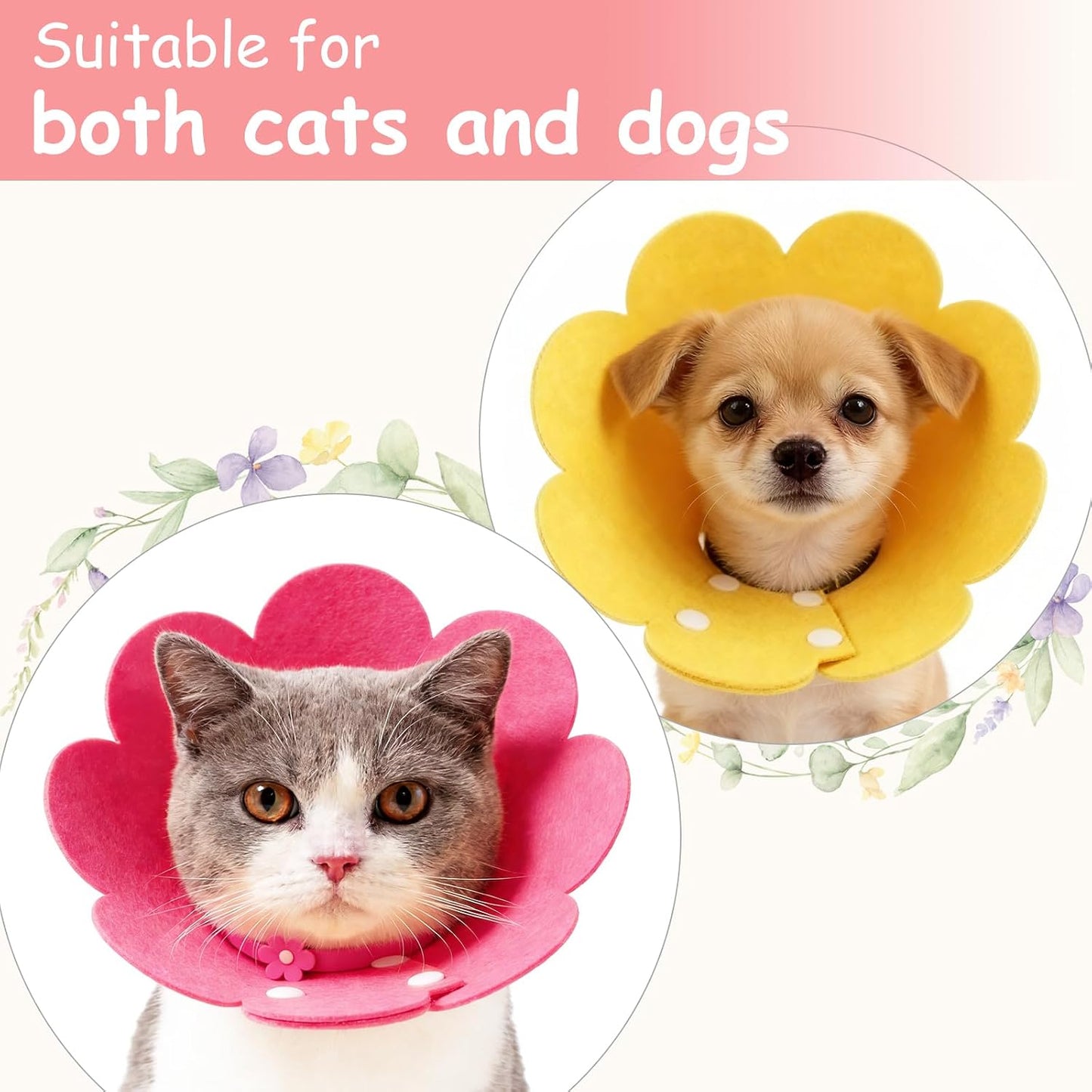 Small dog wearing the PETAXCELL comfortable post surgery protective flower neck cone.
