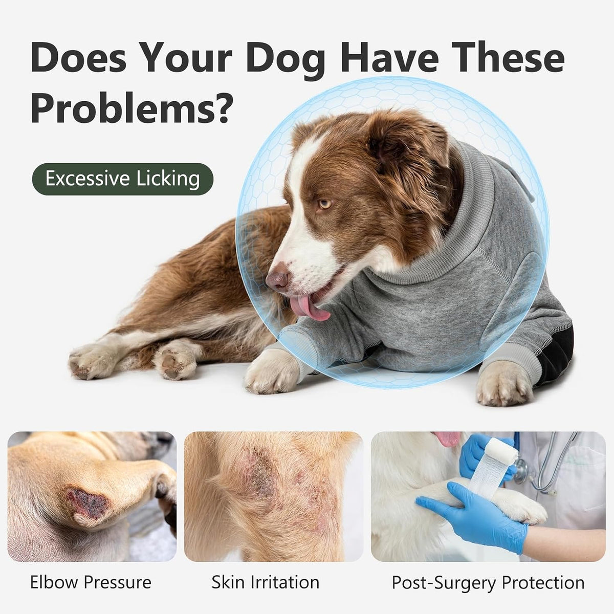 Side profile of dog in Pawfun recovery suit with padded elbows