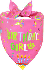 Dog Birthday Girl Bandana for Small Dogs - Reversible Pink Confetti Tie-On Scarf, Happy Birthday Party Outfit Puppy Gift, 9-14" Neck - Image 11