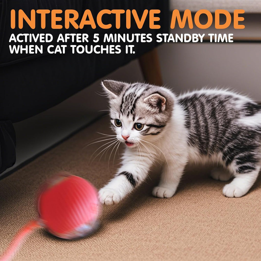 Three mode intelligent self rolling kitten toy ball for indoor exercise