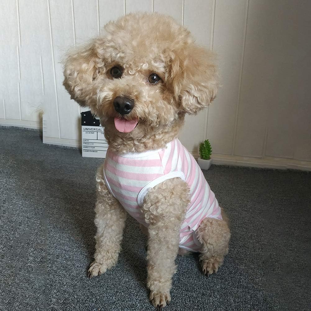 Kukaster Pet protective puppy shirt as a comfortable alternative to a plastic cone