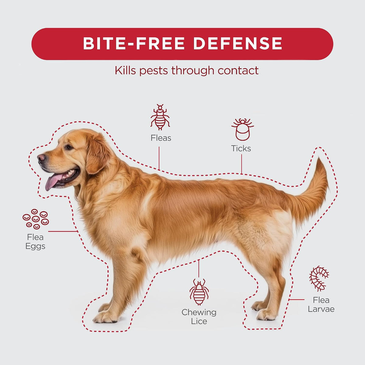 Three month supply pet pest control boxes imported from USA
