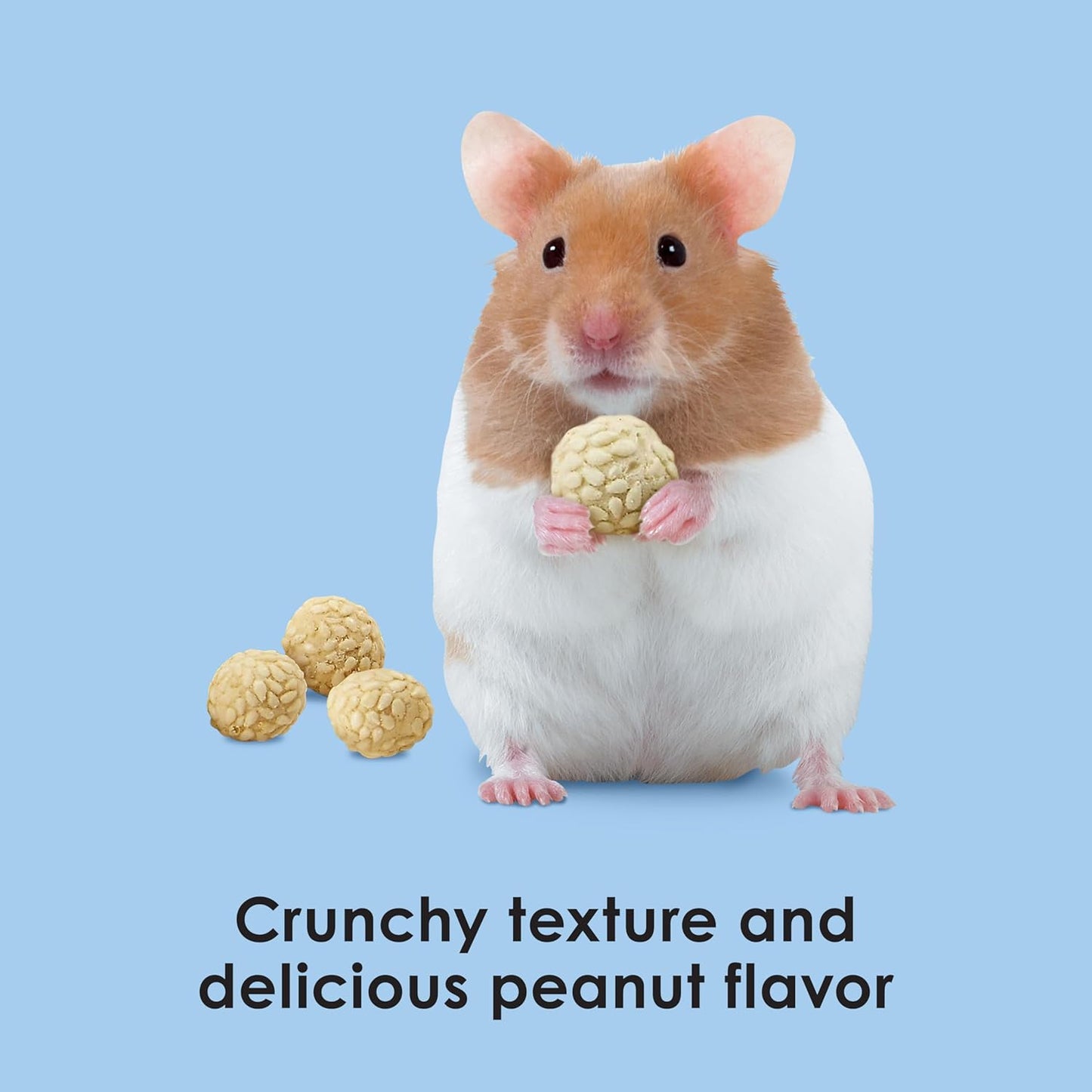Kaytee peanut core sesame rounds for rabbits and hamsters