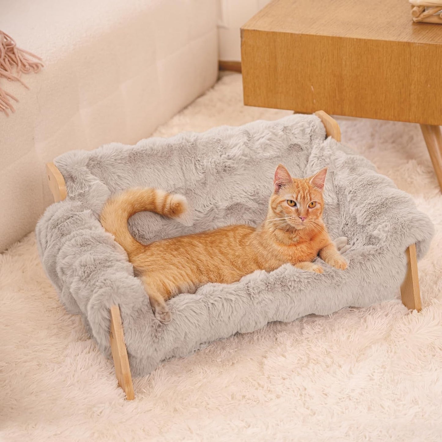 Size reference of elevated cat sofa with wooden frame