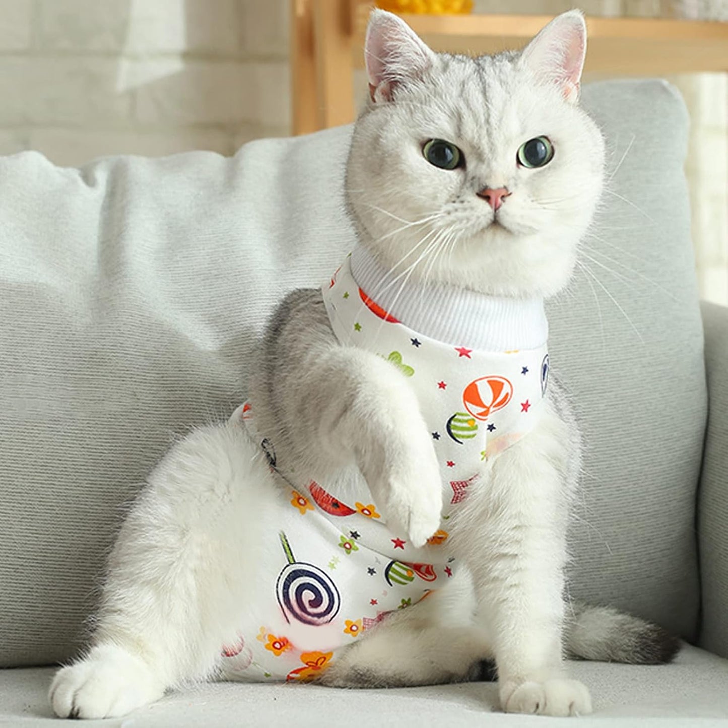 Flexible abdominal wound protective clothing for kittens