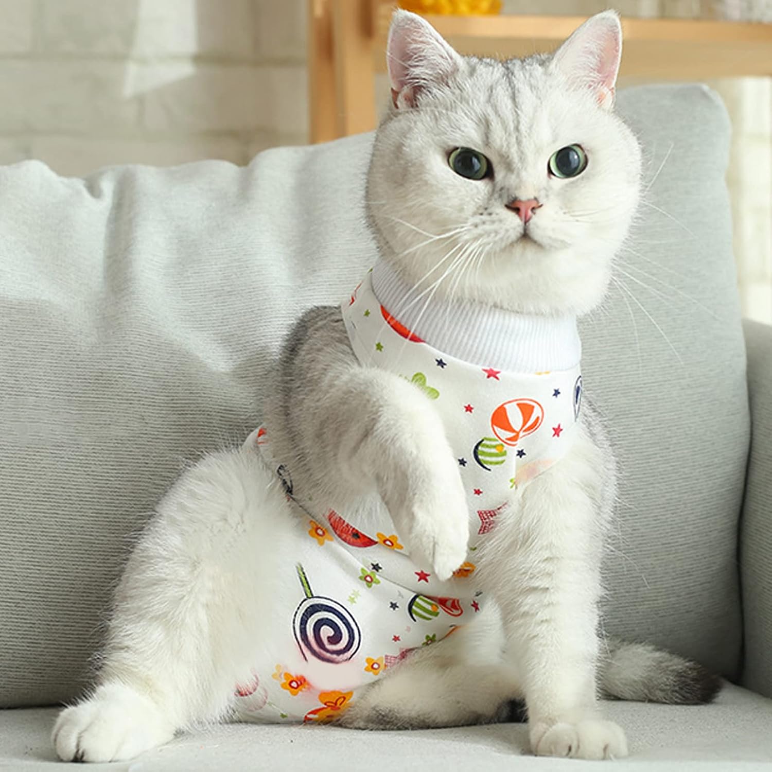 Flexible abdominal wound protective clothing for kittens