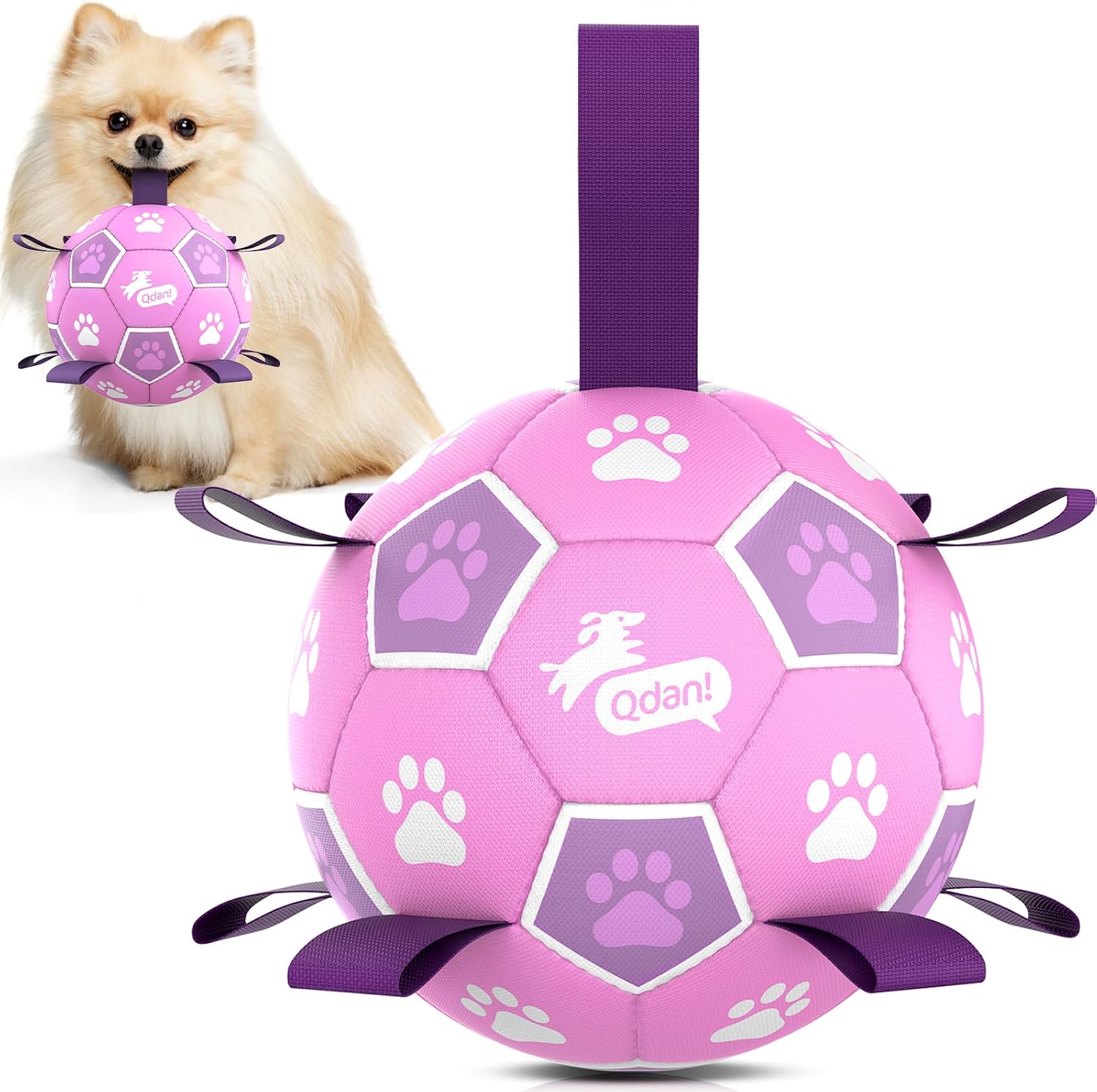 QDAN Dog Balls, Dog Soccer Ball with Straps, Pink Girl Puppy Toy Balls for Small Medium Dogs, Outdoor Water Pool Toys, Puppy Pet Birthday Gifts, Rainbow6 Inch - Image 10