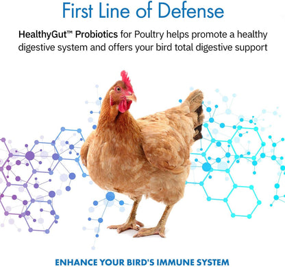 HealthyGut Poultry Probiotics container side panel displaying ingredients and one billion CFU claim.