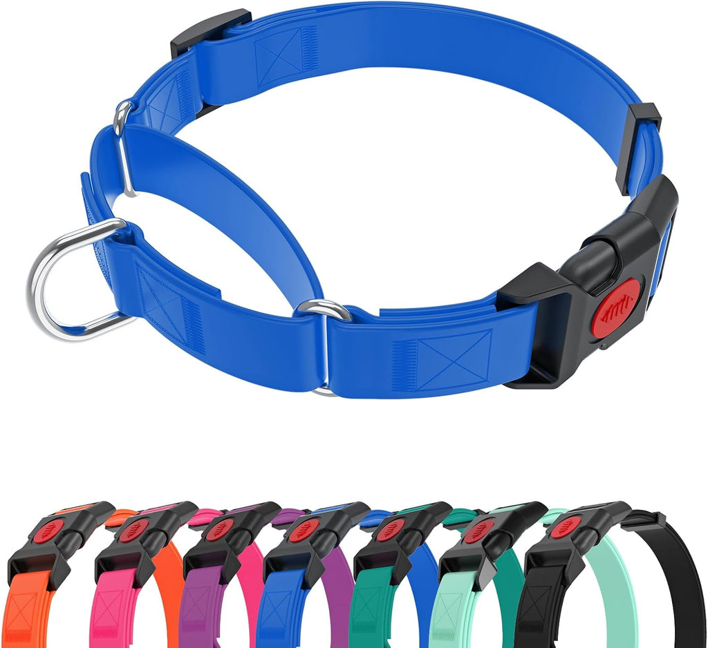 Kidding Pets purple martingale collar showing stainless steel D-ring