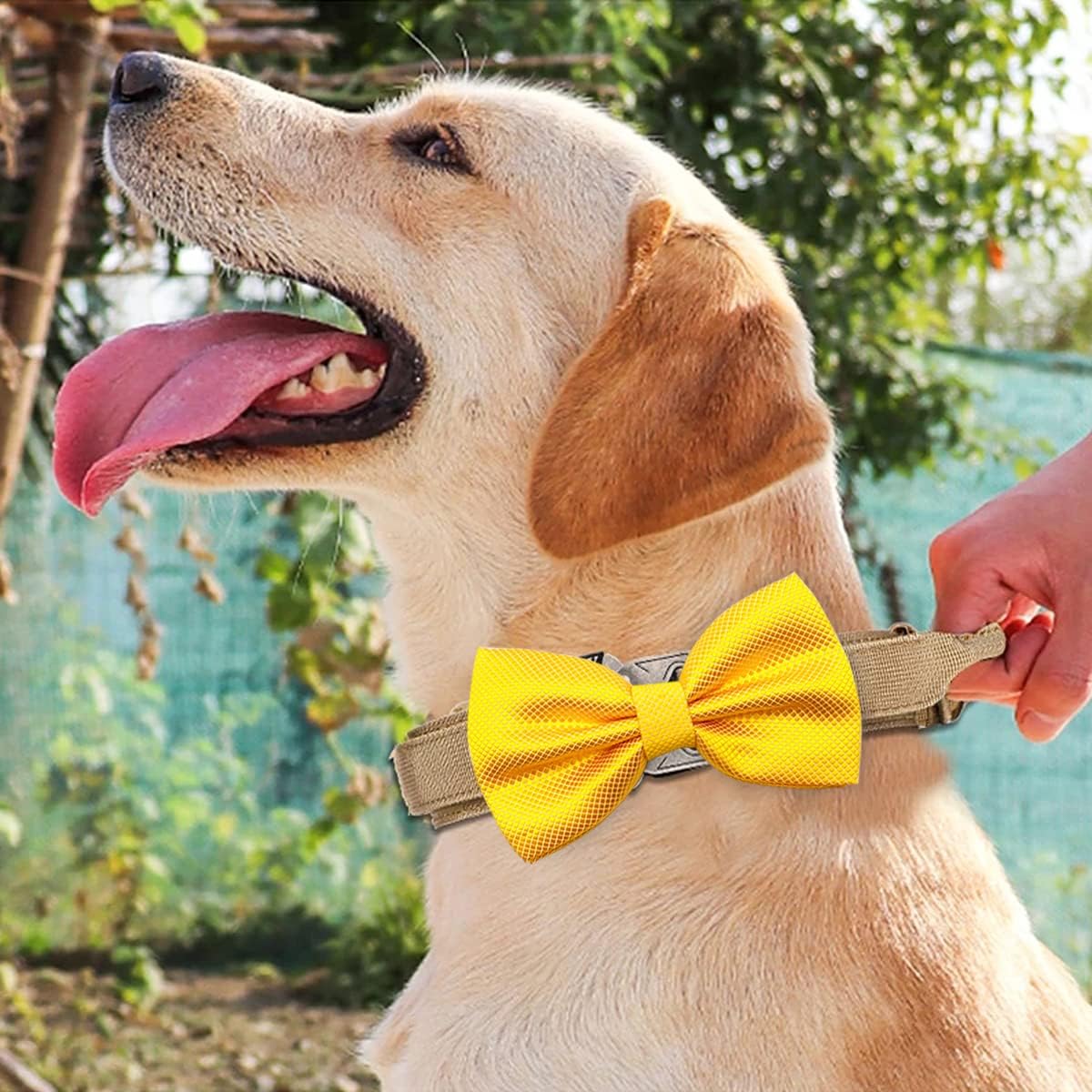 Side view displaying the lightweight and smooth texture of the festive dog bowtie