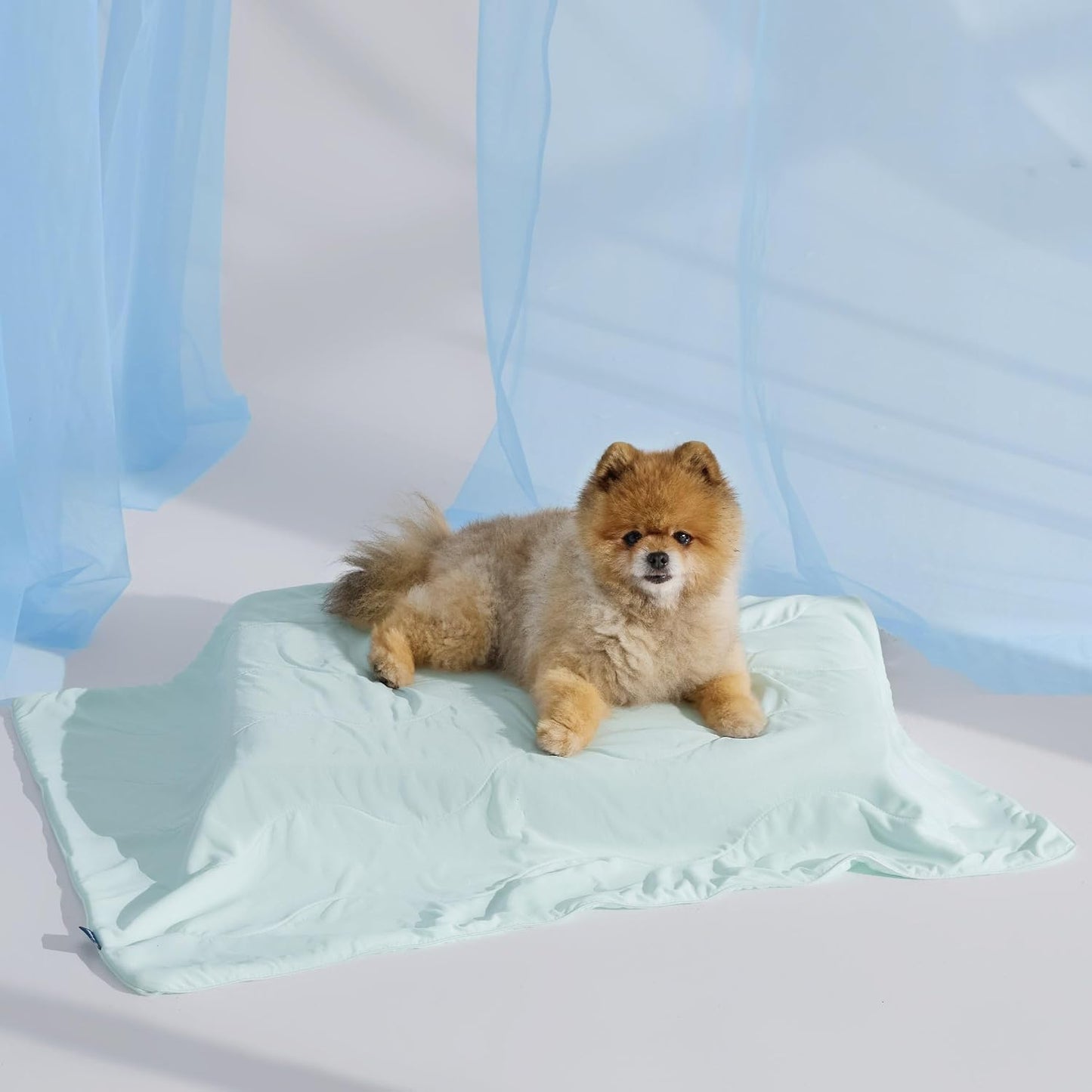Bedsure Cooling Blanket for Small Dogs with Breathable Air-Core Fill Q-MAX>0.4 - Dog Cooling Mat Soft, Lightweight Pet Cat Throw Cold Blanket Washable for Summer, Arctic Blue, 25x35 - Image 15