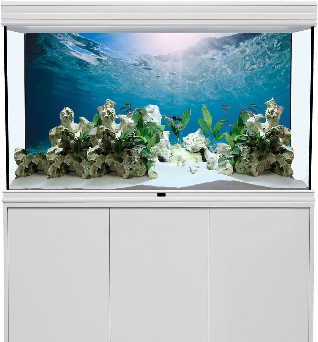 AWERT ocean floor tank background high definition underwater scenery print